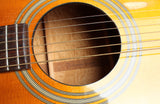 1999 Takamine FD250 SMHG natural amber